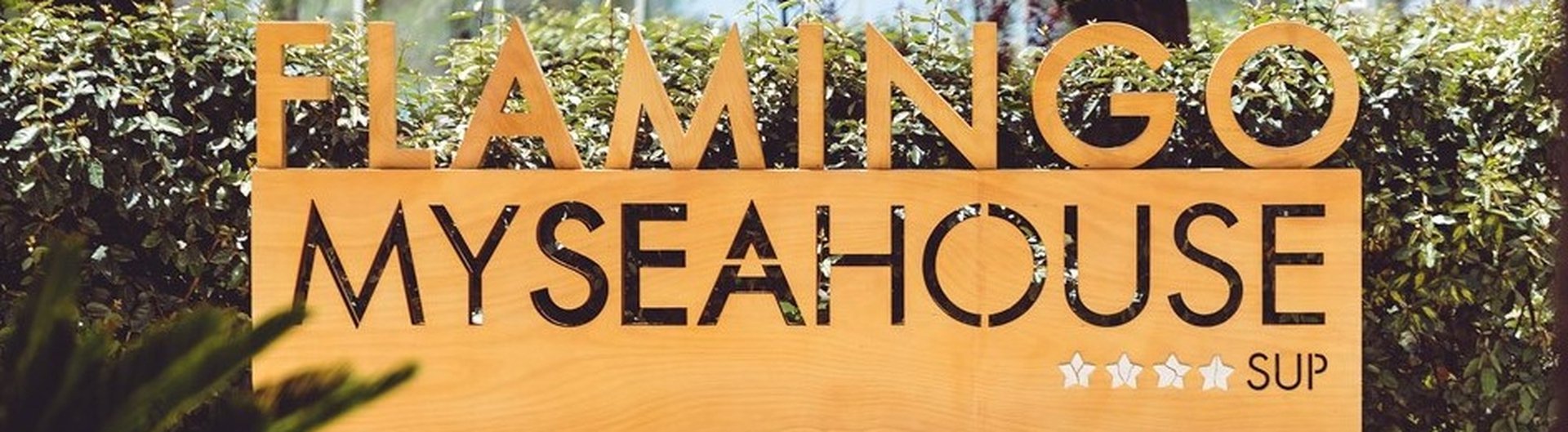 SPORT Hotel MySeaHouse Flamingo Only Adults +16 Playa de Palma SPORT Hotel MySeaHouse Flamingo Only Adults +16 Playa de Palma