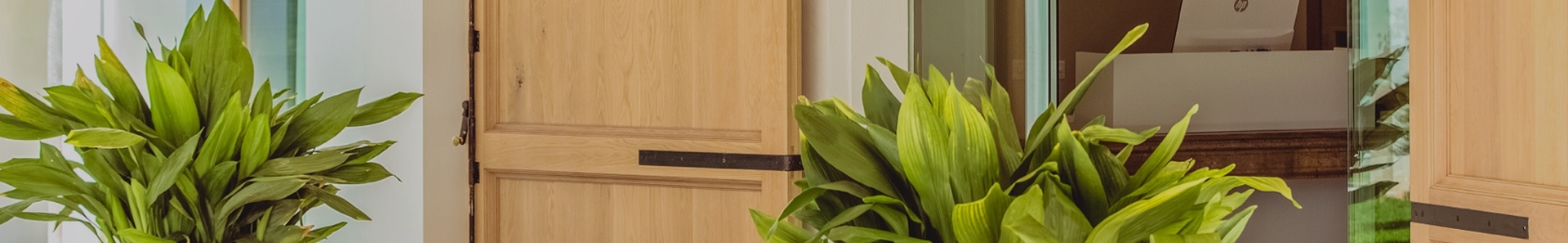 Feel safe & feel at home MySeaHouse Flamingo Only Adults +16 Hotel Playa de Palma Feel safe & feel at home MySeaHouse Flamingo Only Adults +16 Hotel Playa de Palma