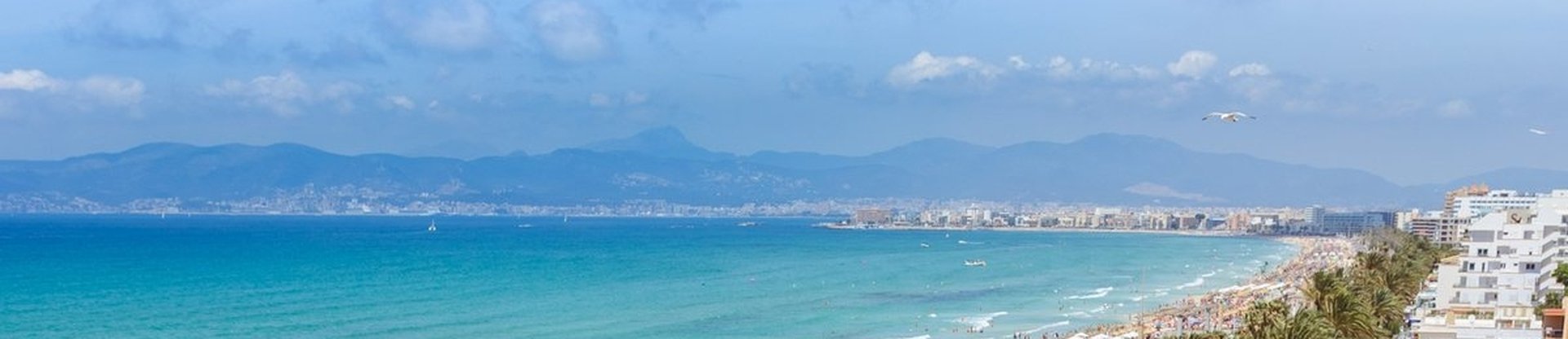 Rooms MySeaHouse Flamingo Only Adults +16 Hotel Playa de Palma Rooms MySeaHouse Flamingo Only Adults +16 Hotel Playa de Palma