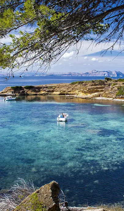 Bucht auf Mallorca im Hotel MYSEAHOUSE Flamingo