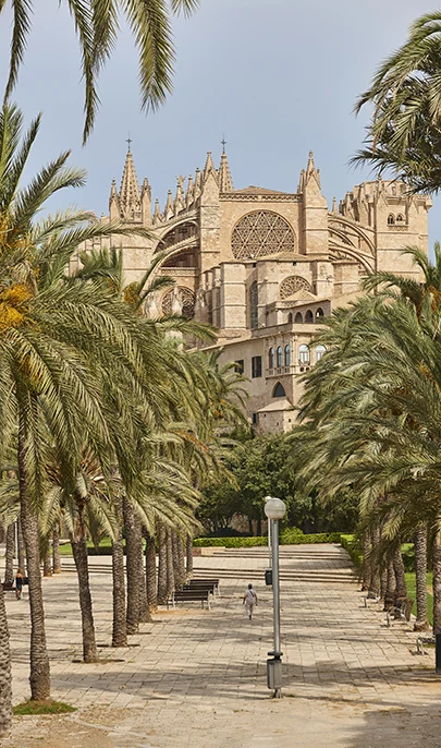Kathedrale von Mallorca im Hotel MYSEAHOUSE Flamingo