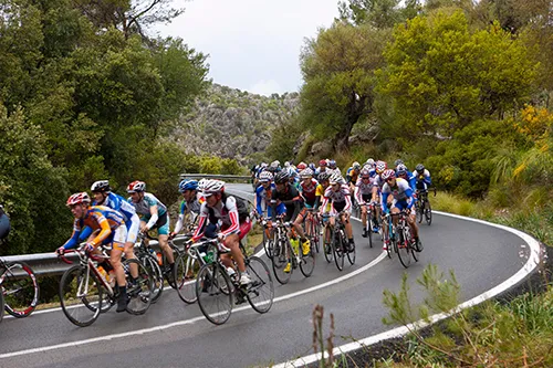 Cycling Services Hotel MYSEAHOUSE Flamingo