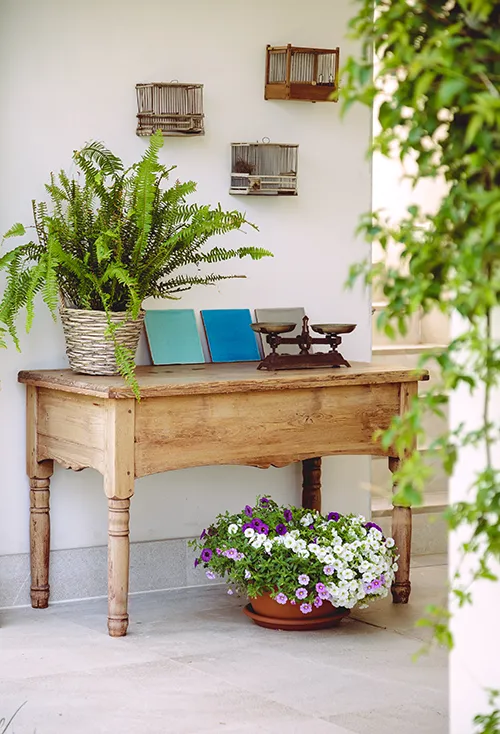 Möbel mit Pflanzen im Hotel MYSEAHOUSE Flamingo