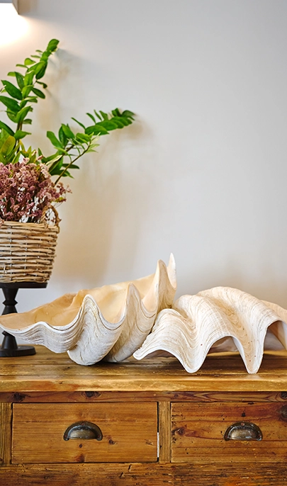 Spa im Hotel MYSEAHOUSE Flamingo