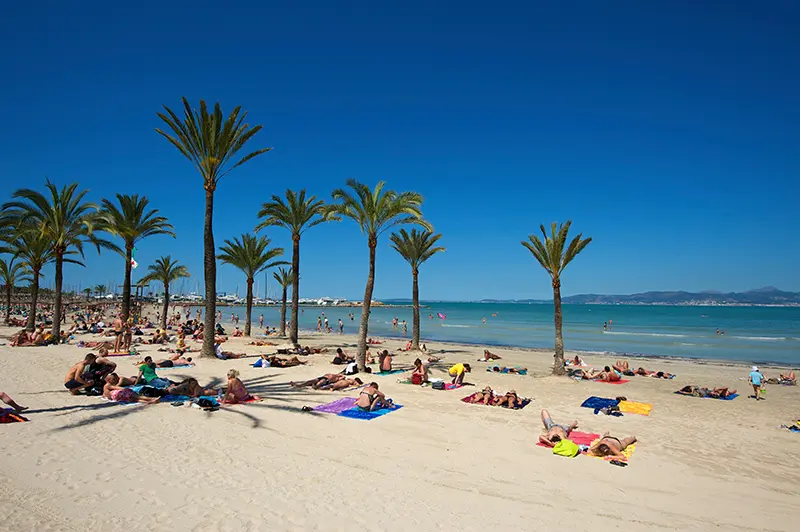 Sand Nachhaltigkeit Mallorca Hotel MYSEAHOUSE Flamingo