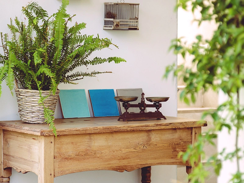 Sostenibilidad en Hotel MYSEAHOUSE Flamingo