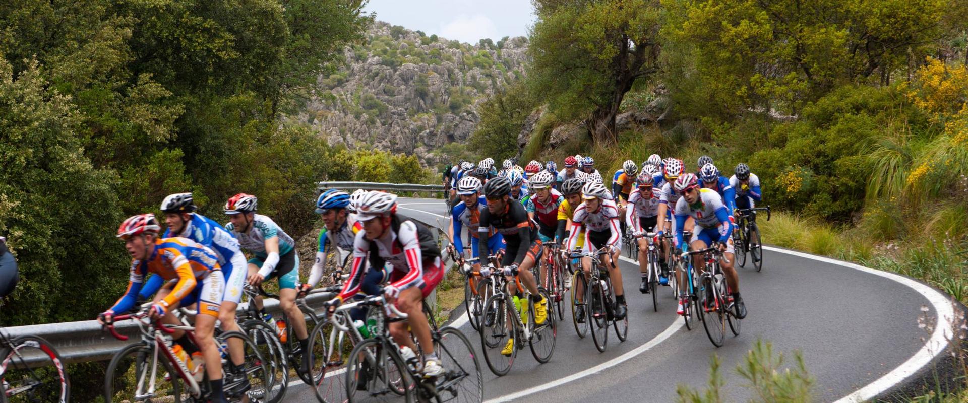 CYCLING Hotel MySeaHouse Flamingo Only Adults +16 Playa de Palma CYCLING Hotel MySeaHouse Flamingo Only Adults +16 Playa de Palma